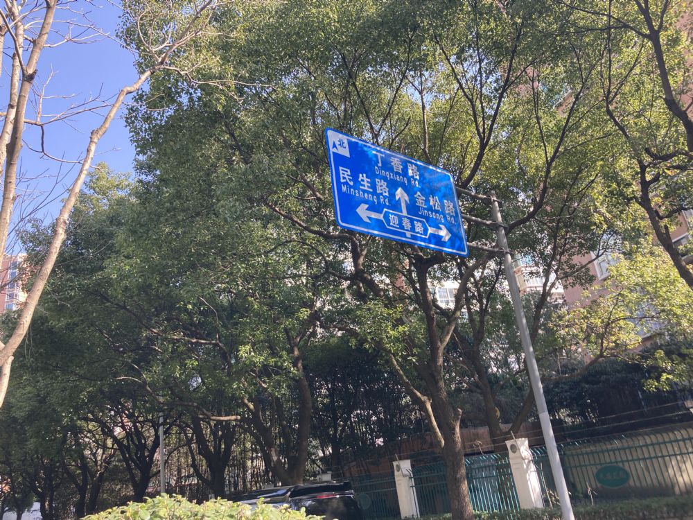 上海市浦东新区锦绣路888弄16号1102室